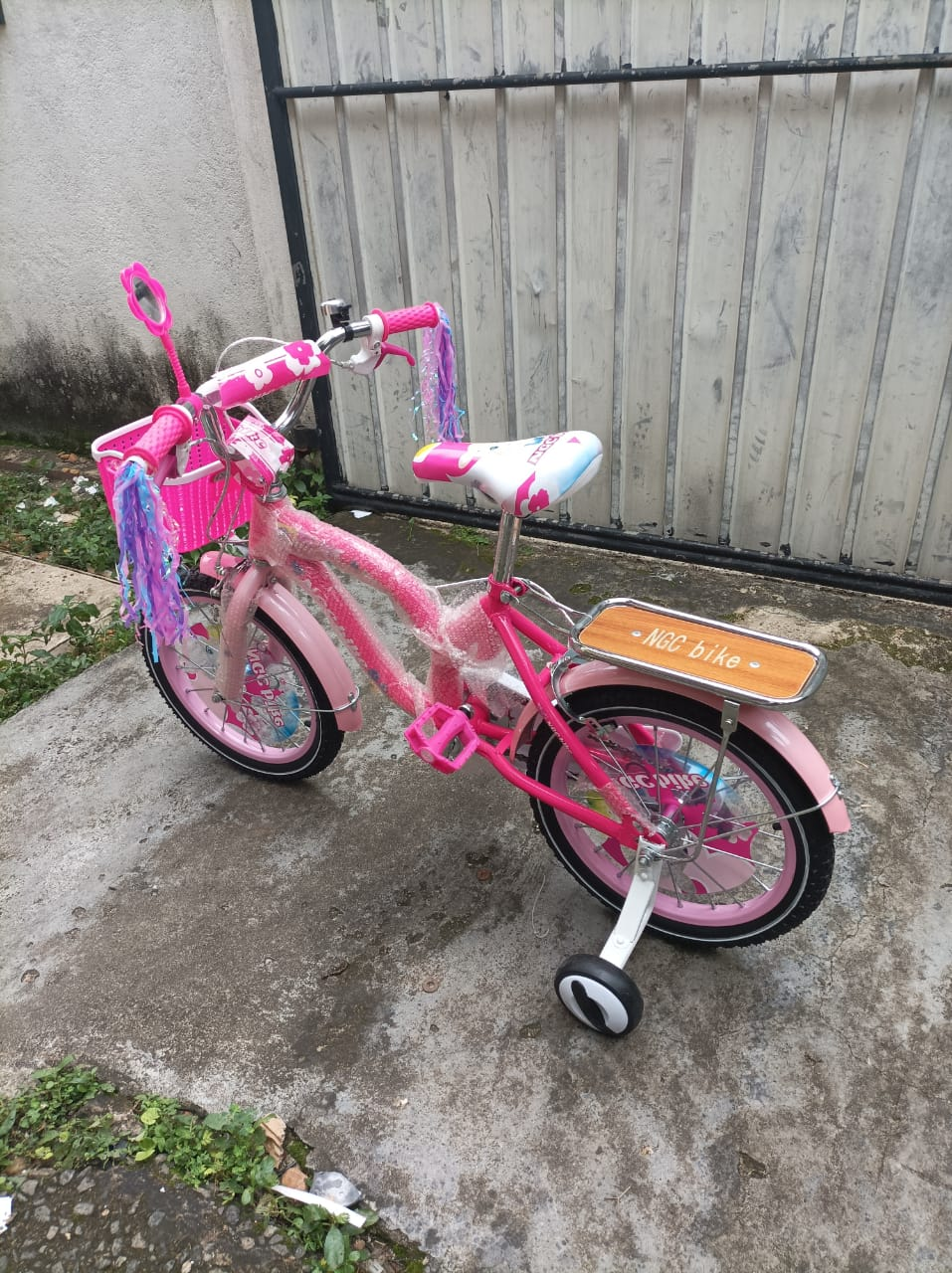 20 NGC Ladies Bicycle