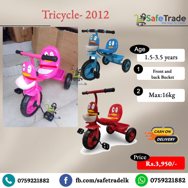 Tricycle 2012
