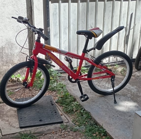 20 Safari MTB Bicycle