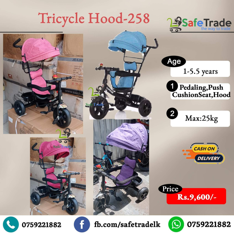258 Tricycle with Hood