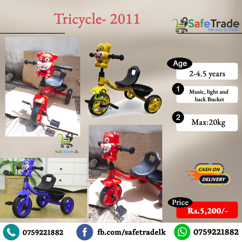 Tricycle 2011
